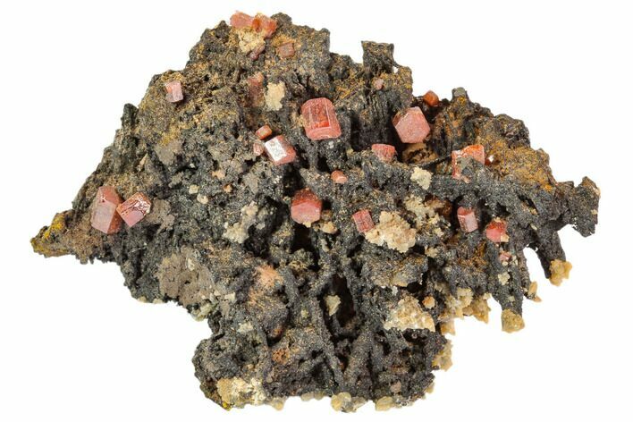 Red Vanadinite Crystals On Manganese Oxide - Morocco #103580